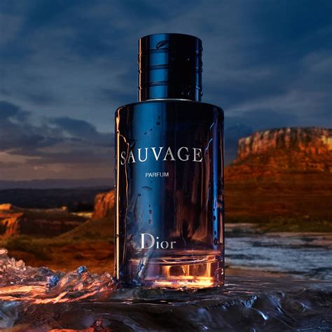 dior sauvage dp parfum|Dior Sauvage best price.